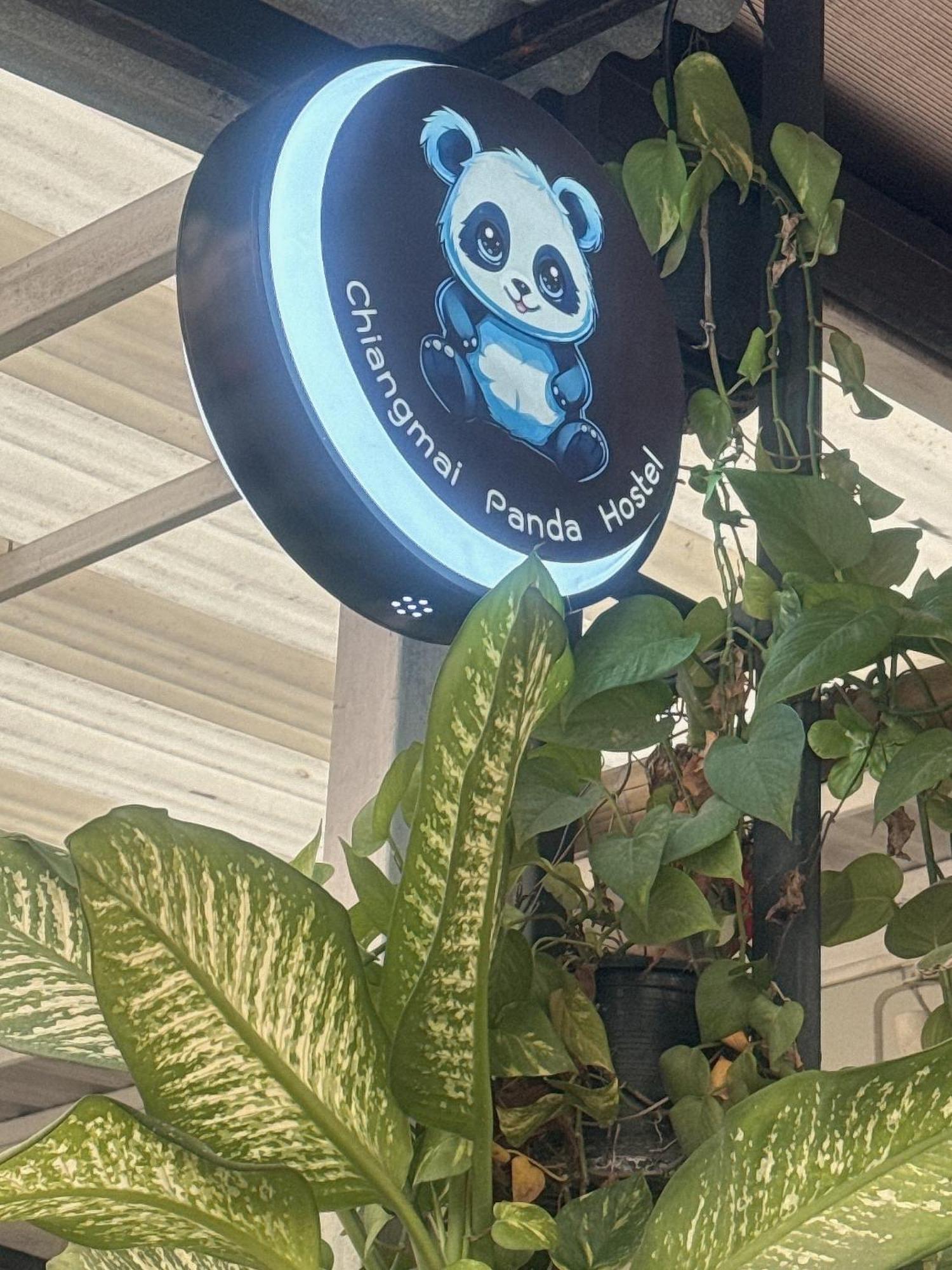 Chiang Mai Panda Hostel Exterior foto